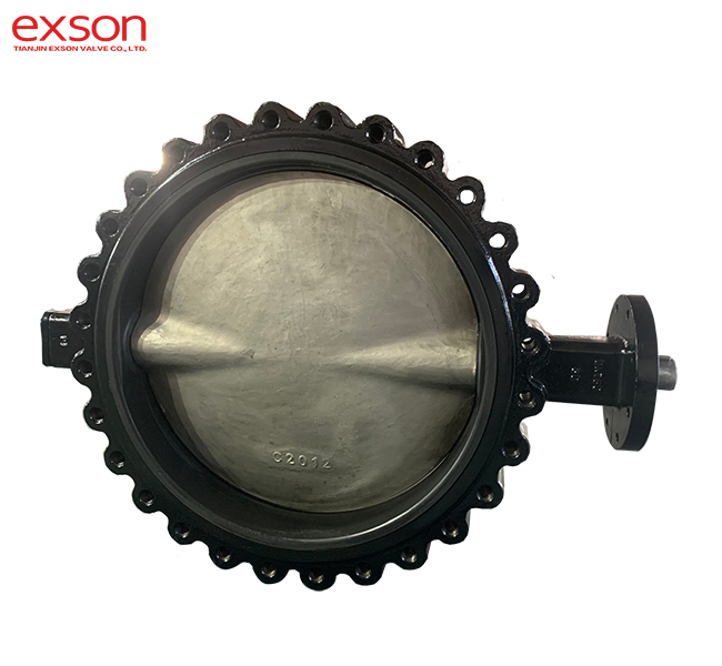 Lug type butterfly valve